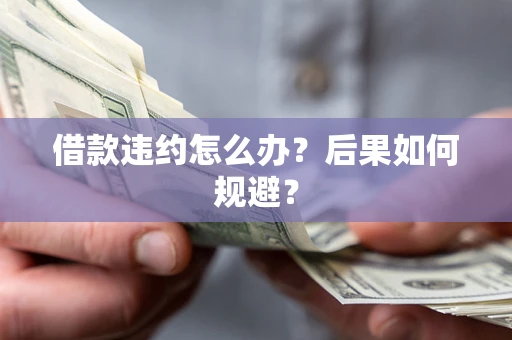 武汉借款违约怎么办？后果如何规避？